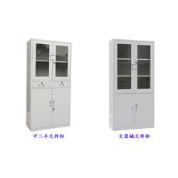 东瑞办公厂家 巫山文件柜，打造高效办公空间的首选